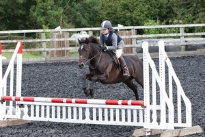 Class 3 -  Fences not above 2'3